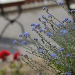 Zajazd Nad Stawem Grabowko