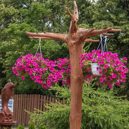 Nad Stawem Herberg *