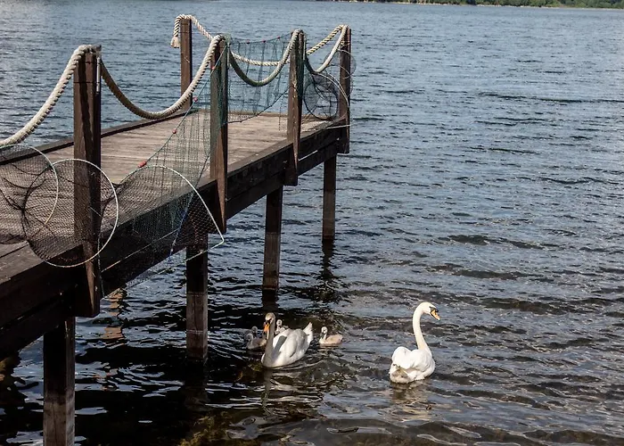 Nad Stawem イン Grabówko