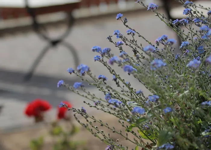 イン Nad Stawem Grabówko